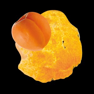 Bergeron Apricot