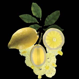 purée coulis PGI Menton Lemon  (Crushed)
