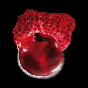 purée coulis Pomegranate