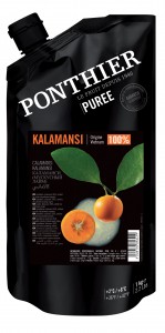 Gekühlte Fruchtpürees 1kgKalamansi Calamondin 100% ponthier