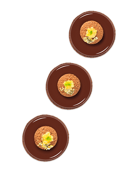 Ponthier - Victoria-Ananas-Torte, Kokosnuss, Schokolade und Ingwer