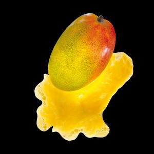 Mango Alphonso