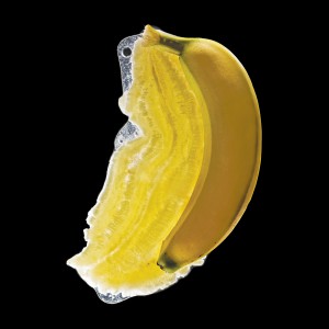 purée coulis Plátano