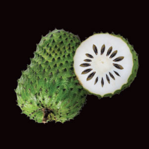 Soursop