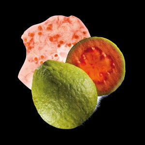 Guayaba Rosa