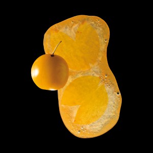 Mirabelle Plum from Lorraine (PGI)