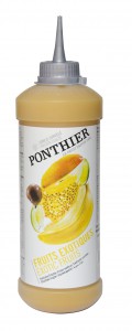 Gefrorene Coulis 500g Exotische Früchte ponthier