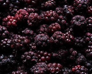 IQF Frozen fruit Wild Blackberries ponthier