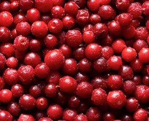 Gefrorene Früchte IQF Cranberrys ponthier