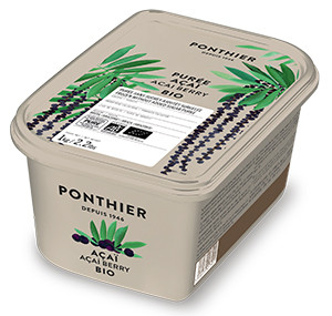 Purées de fruit surgelées 1kg Açaï Bio ponthier