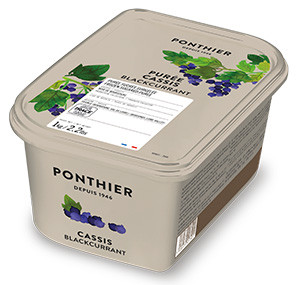Purées de fruit surgelées 1kg Cassis Noir de Bourgogne ponthier