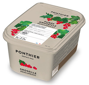 Purées de fruit surgelées 1kg Groseille ponthier