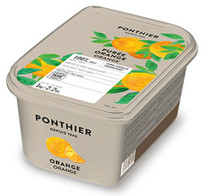 Purées de fruit surgelées 1kg Orange 100% ponthier