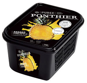 Frozen fruit purees 1kg Pineapple ponthier