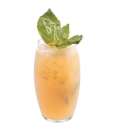 Ponthier - Basil & Melon Ginito