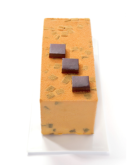 Ponthier - Iced Bergeron Apricot and Oblacinska Morello Cherry log