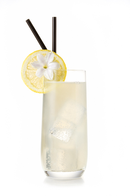 Ponthier - Gin Fizz