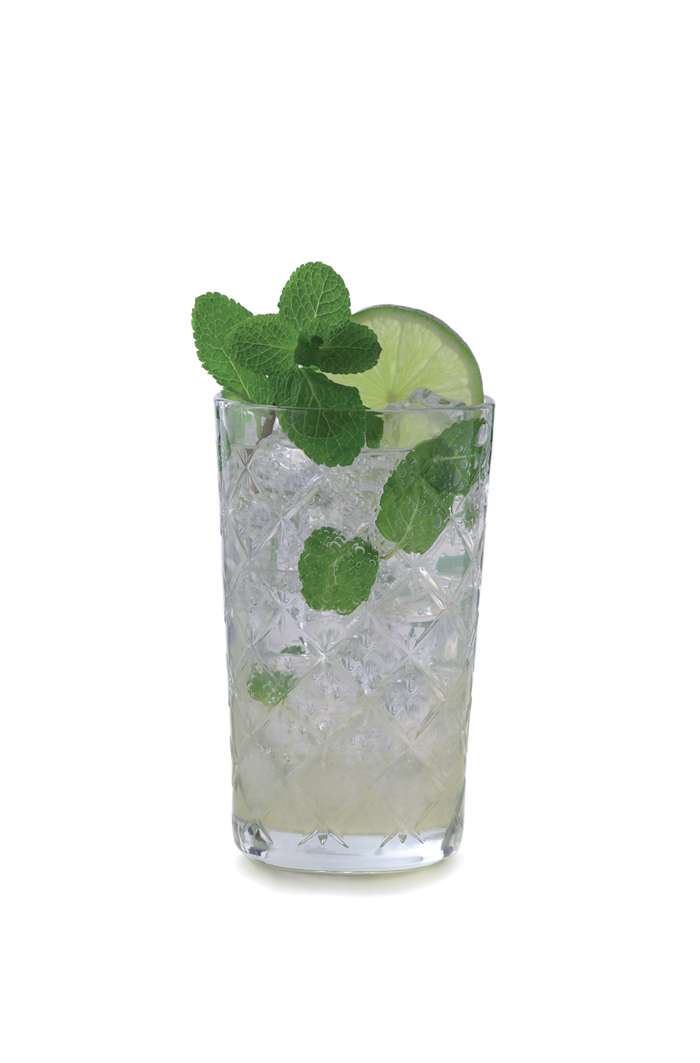 Ponthier - Mojito