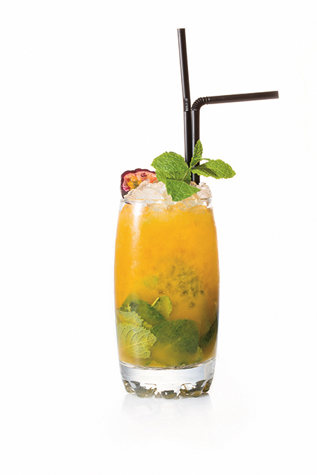 Ponthier - Passion Mojito