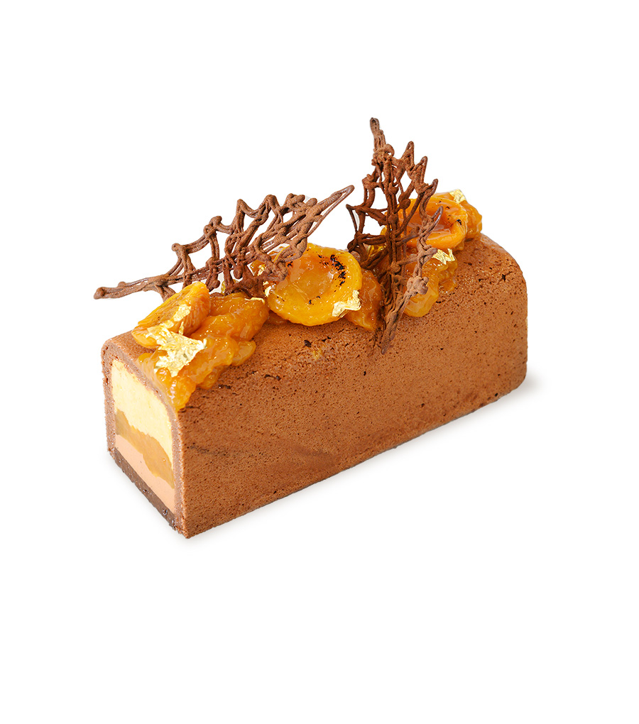 Ponthier - Bûche abricot, chocolat et cinq épices