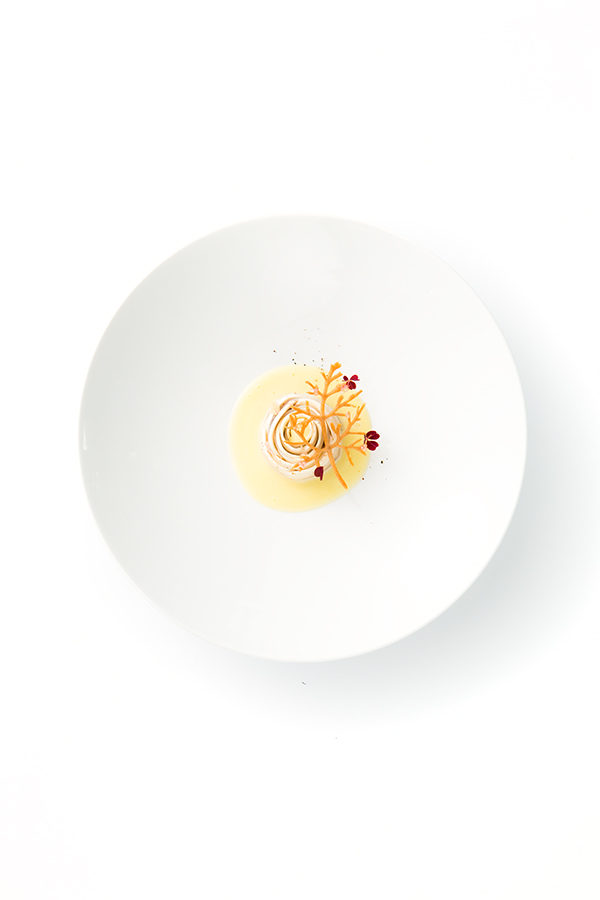 Ponthier - Sea bass and button mushroom rose with yuzu vinaigrette