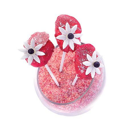 Ponthier - Macarons Willamette raspberry lollipops