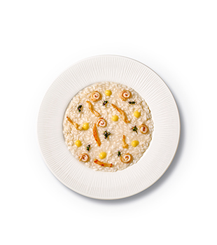 recette Ponthier Squid risotto with bergamot-yuzu cream Bergamot 100% Yuzu 100% (Crushed) 