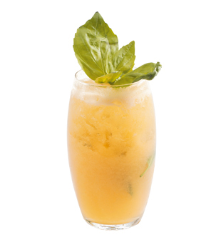 recette Ponthier Basil & Melon Ginito Melon 100%  