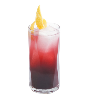 recette Ponthier Blueberry Limonade Arándano Negro Limón 100% 