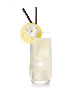 recette Ponthier Gin Fizz Citron Vert 100%  