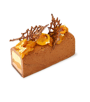 recette Ponthier Apricot, chocolate and five-spice log Bergeron Apricot  