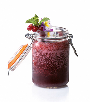 recette Ponthier Red Blue Berry   